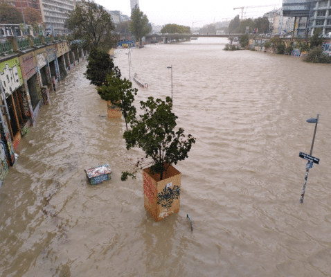 Der Donaukanal mit überschemmtem Uferbereich.